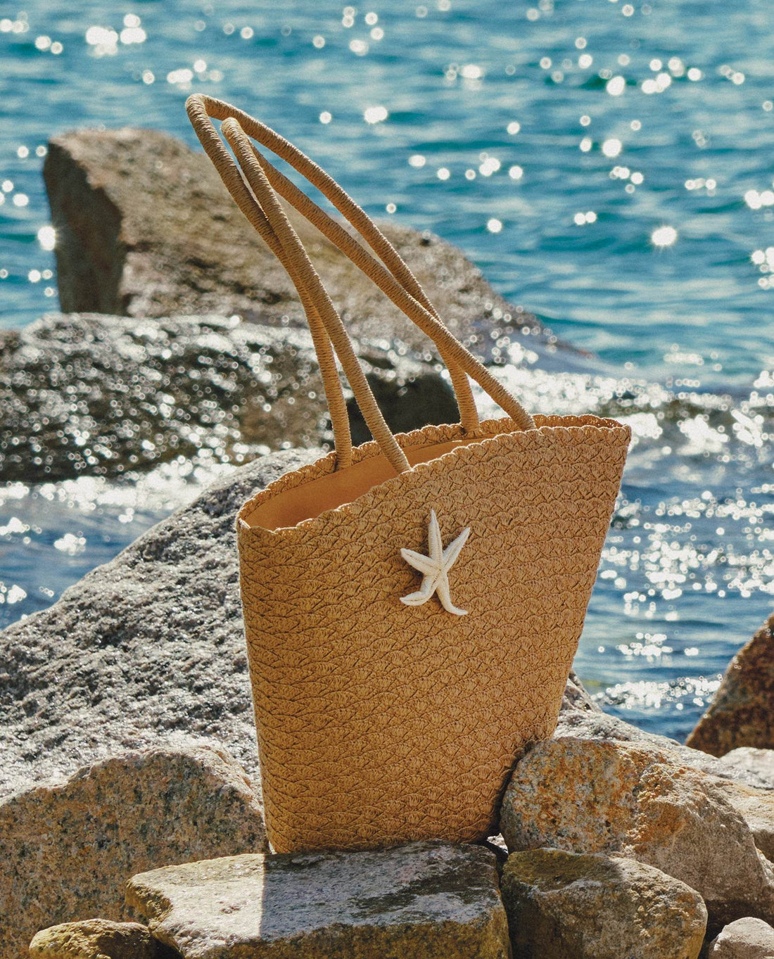 Sao biển: những cư dân lấp lánh dưới đại dương - Hity