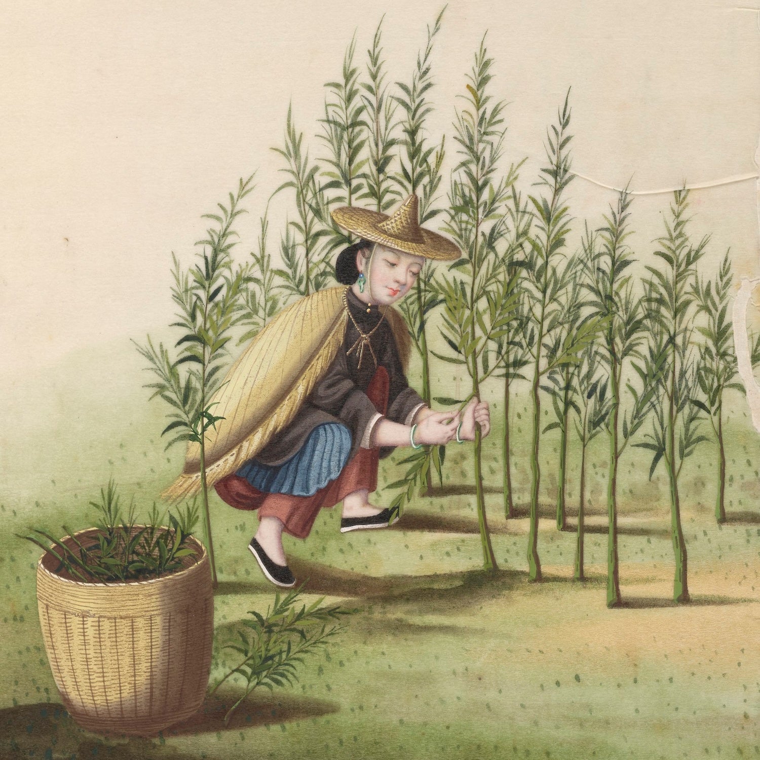 Vải gai xanh ramie thời trang Hity