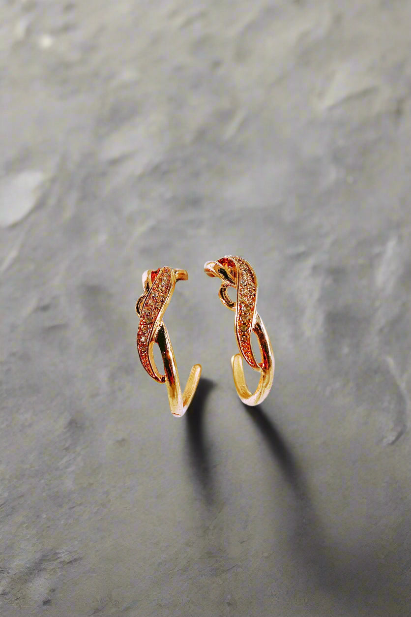 Bông tai mạ vàng tròn xoắn thời trang Hity