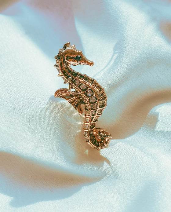 Cài Áo Cá Ngựa Zetta ACC146.3 - Hity