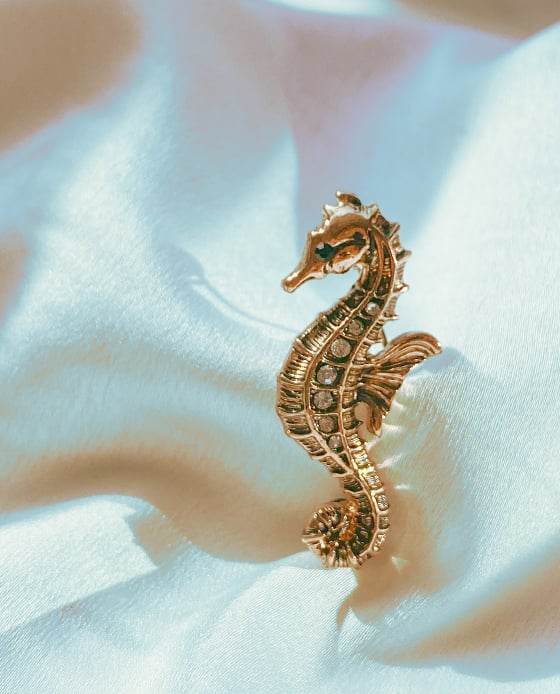 Cài Áo Cá Ngựa Zetta ACC146.3 - Hity