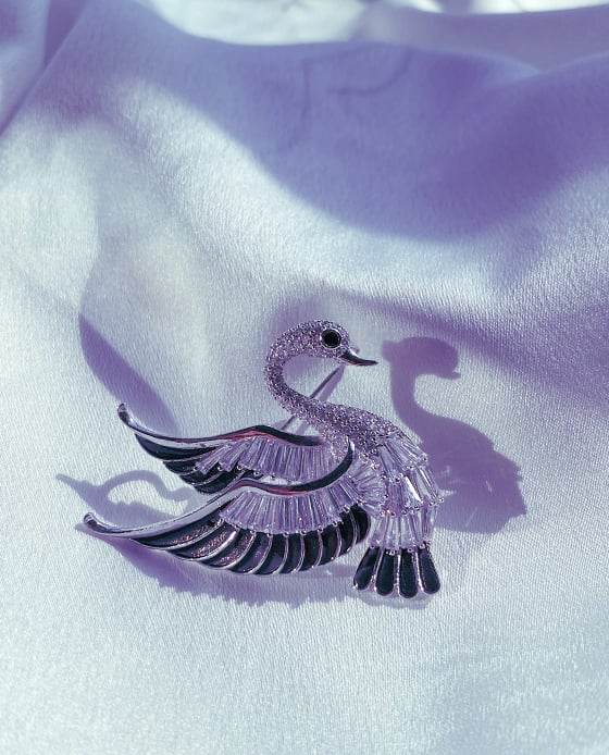 Cài Áo Black Swan ACC146.54 - Hity