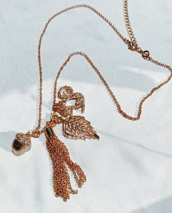 Vòng Cổ Chipmunk ACC094 - Hity